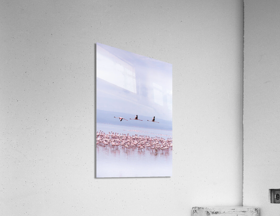 Three Flamingos Flying - Acrylic
